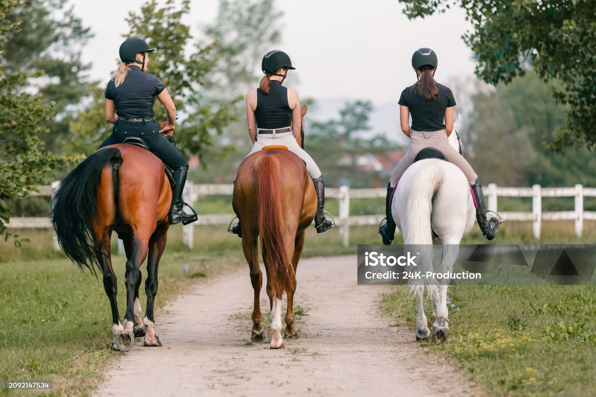 High-Performance Breeches